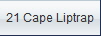 21 Cape Liptrap