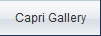Capri Gallery