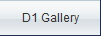 D1 Gallery
