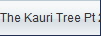 The Kauri Tree Pt 2