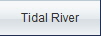 Tidal River
