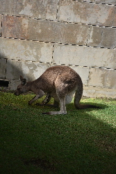 Van-trip-easter22-0382