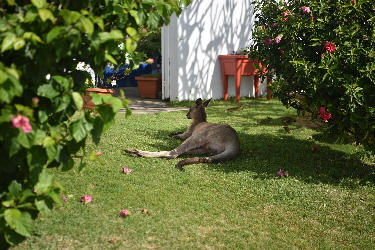Van-trip-easter22-0415