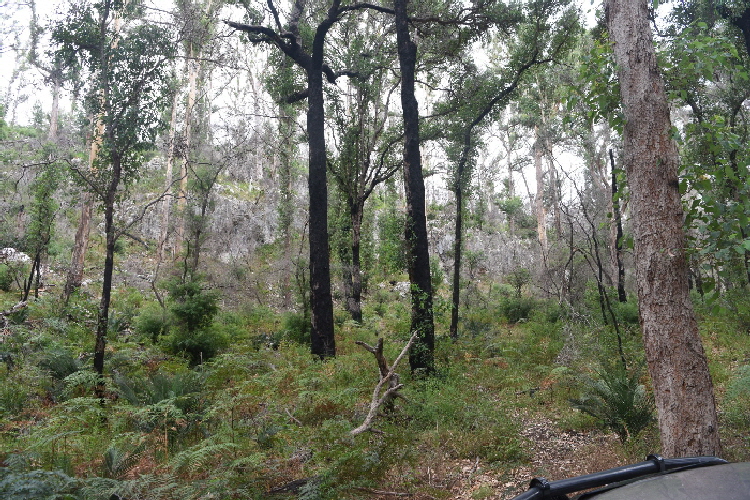 Van-trip-Perth-camera-2661