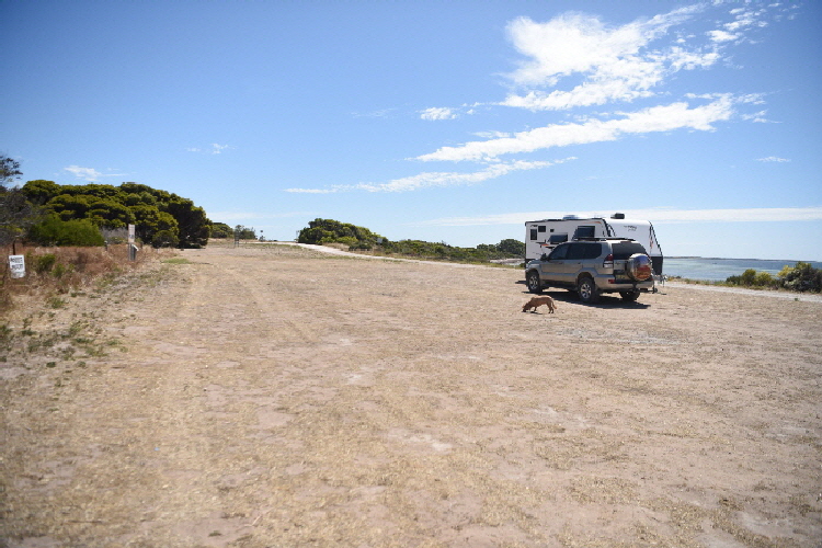 Van-trip-perth-camera-1545