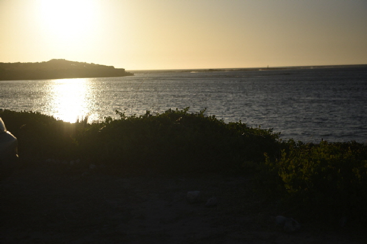 Van-trip-perth-camera-1598
