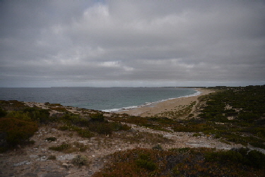 Van-trip-perth-camera-1563