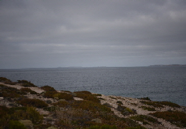 Van-trip-perth-camera-1564