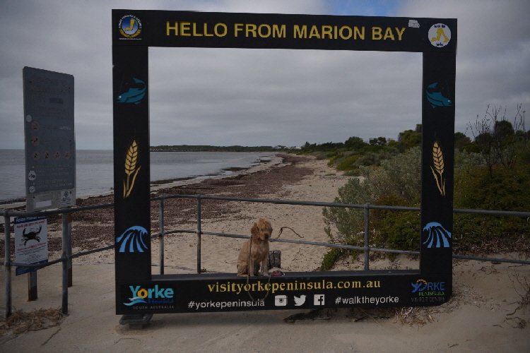 Van-trip-perth-camera-1571