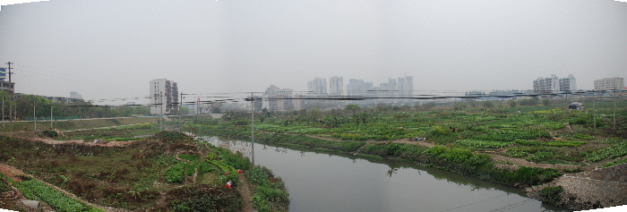 Market-Garden-Pano_1