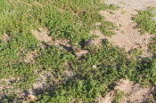 2022 Camaron Corner Trip  0026 small