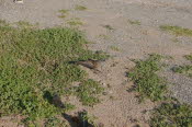 2022 Camaron Corner Trip  0030 small