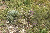 2022 Camaron Corner Trip  0092 small