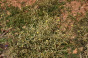 2022 Camaron Corner Trip  0094 small