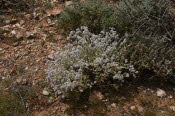 2022 Camaron Corner Trip  0096 small