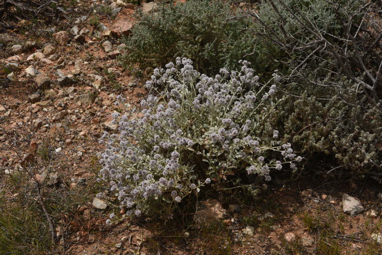 2022 Camaron Corner Trip  0096 small