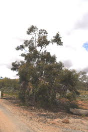 2022 Camaron Corner Trip  0098 small