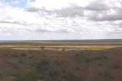 2022 Camaron Corner Trip  0106 small