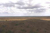 2022 Camaron Corner Trip  0107 small