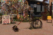 2022 Camaron Corner Trip  0113 small