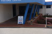 2022 Camaron Corner Trip  0141 small