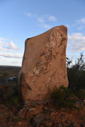 2022 Camaron Corner Trip  0184 small