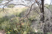 2022 Camaron Corner Trip  0368 small