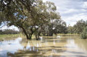 2022 Camaron Corner Trip  0382 small