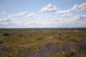 2022 Camaron Corner Trip  0429 small