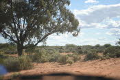2022 Camaron Corner Trip  0436 small