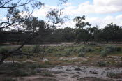 2022 Camaron Corner Trip  0450 small