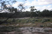 2022 Camaron Corner Trip  0451 small