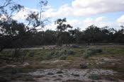 2022 Camaron Corner Trip  0452 small