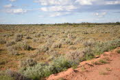 2022 Camaron Corner Trip  0473 small