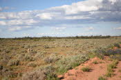 2022 Camaron Corner Trip  0474 small