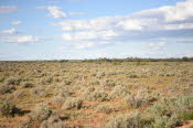 2022 Camaron Corner Trip  0475 small