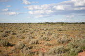 2022 Camaron Corner Trip  0476 small