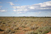 2022 Camaron Corner Trip  0477 small