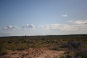 2022 Camaron Corner Trip  0478 small