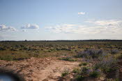 2022 Camaron Corner Trip  0479 small
