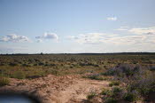 2022 Camaron Corner Trip  0480 small