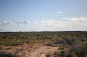 2022 Camaron Corner Trip  0481 small
