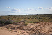 2022 Camaron Corner Trip  0482 small