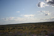 2022 Camaron Corner Trip  0483 small