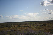 2022 Camaron Corner Trip  0484 small