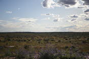 2022 Camaron Corner Trip  0485 small