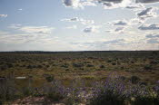 2022 Camaron Corner Trip  0486 small