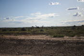 2022 Camaron Corner Trip  0492 small