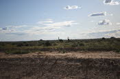 2022 Camaron Corner Trip  0493 small