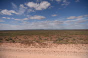 2022 Camaron Corner Trip  0494 small